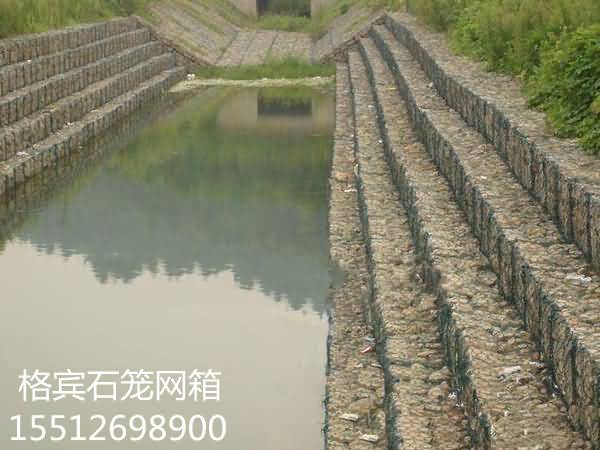 timg_副本.jpg timg_副本.jpg